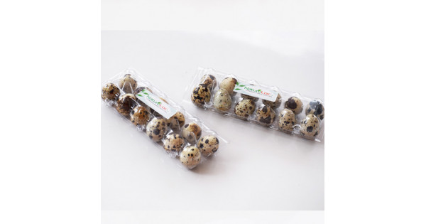 Buy Quail Eggs Online | Kada Mutta -NatureLoc